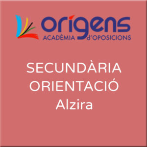 Orientació Secundària Alzira