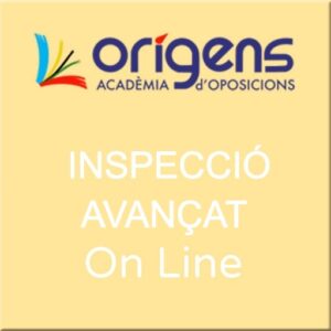Inspecció Avançat On Line